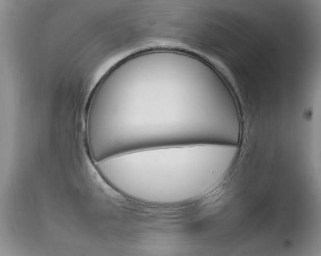 X0000112791287200908210929