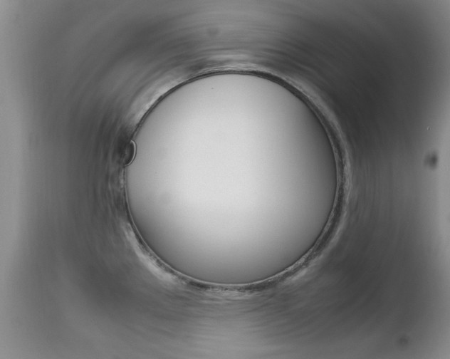 X0000112791289200908210929