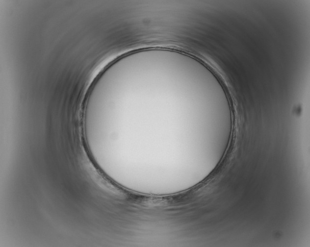 X0000112791291200908210929