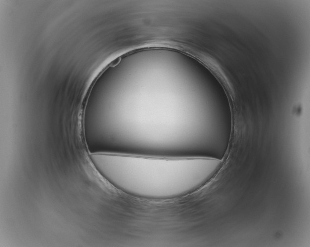 X0000112791292200908210929