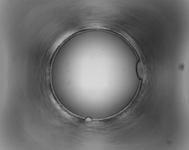 X0000112791293200908210929