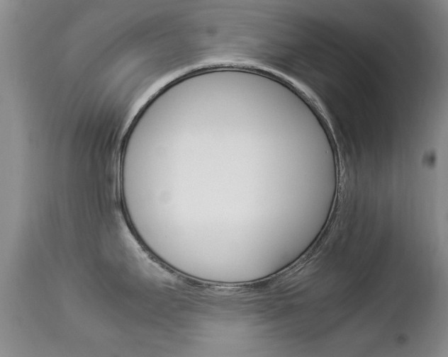 X0000112791295200908210929