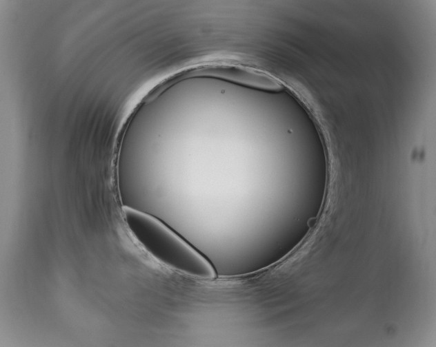 X0000112791296200908210929