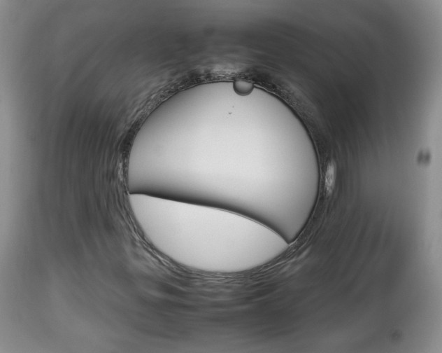 X0000112791299200908210928