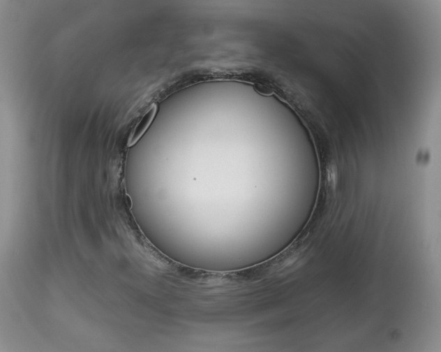 X0000112791300200908210928