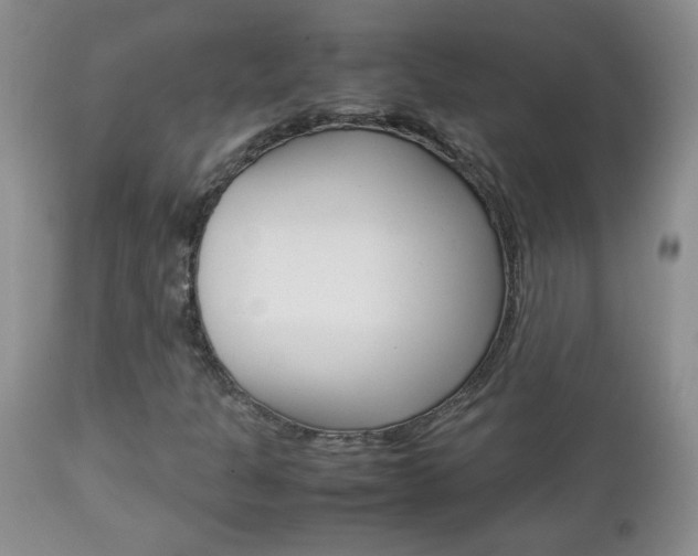 X0000112791301200908210928