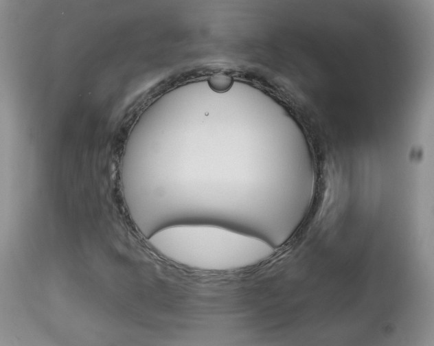 X0000112791302200908210928