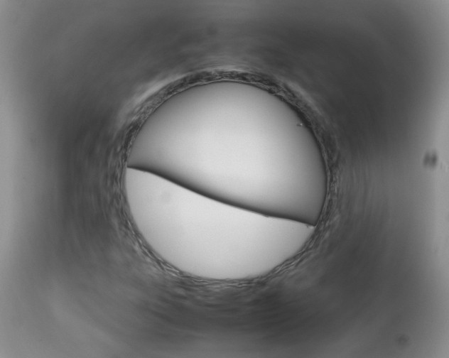 X0000112791303200908210928