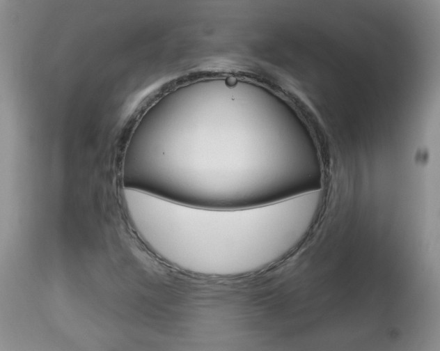 X0000112791304200908210928