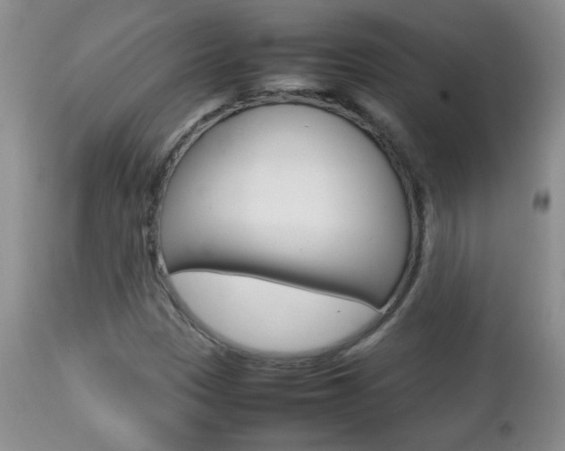 X0000112791305200908210929