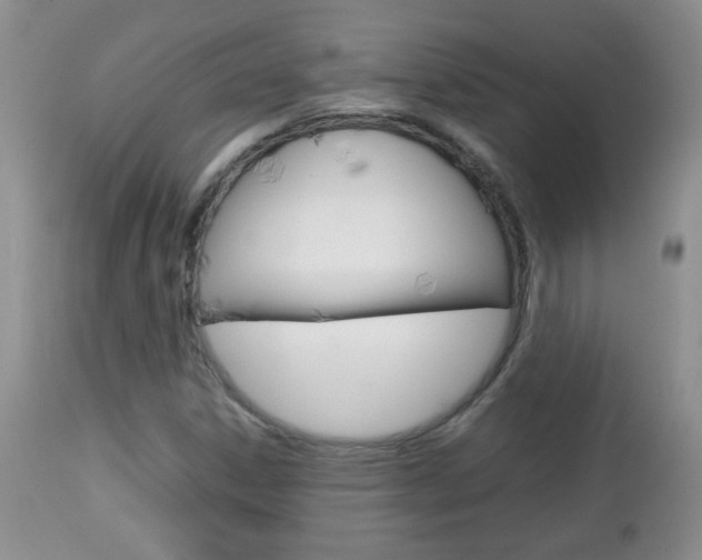 X0000112791306200908210929