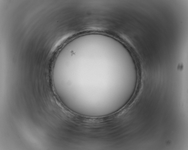 X0000112791307200908210929
