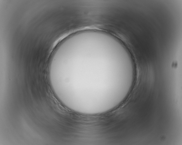 X0000112791308200908210929