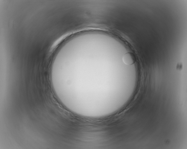 X0000112791310200908210929