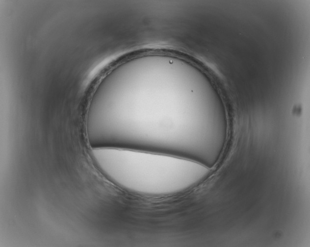 X0000112791311200908210929