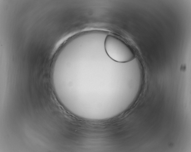 X0000112791312200908210929