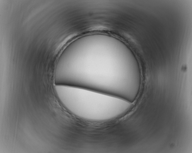 X0000112791313200908210929