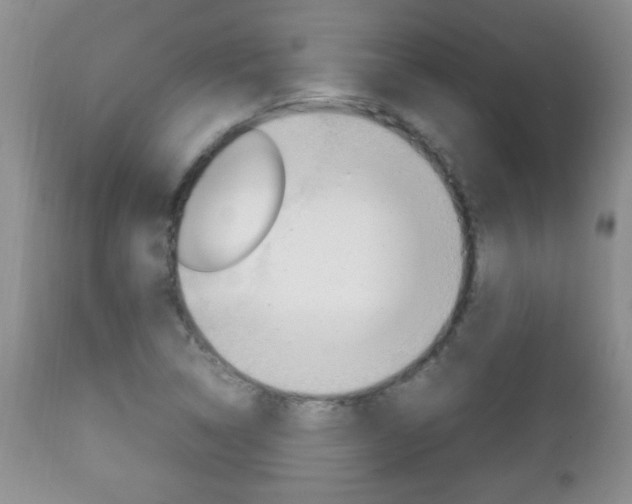 X0000112791314200908210929