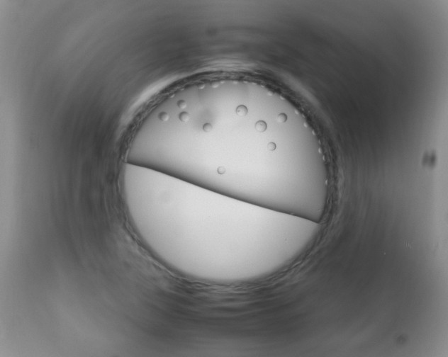 X0000112791315200908210929