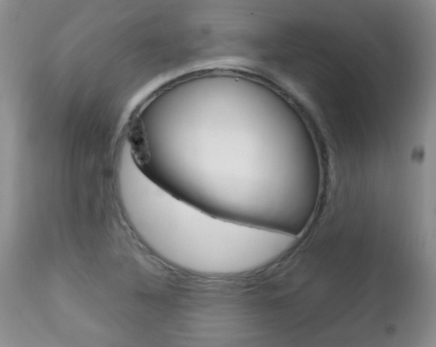 X0000112791316200908210929