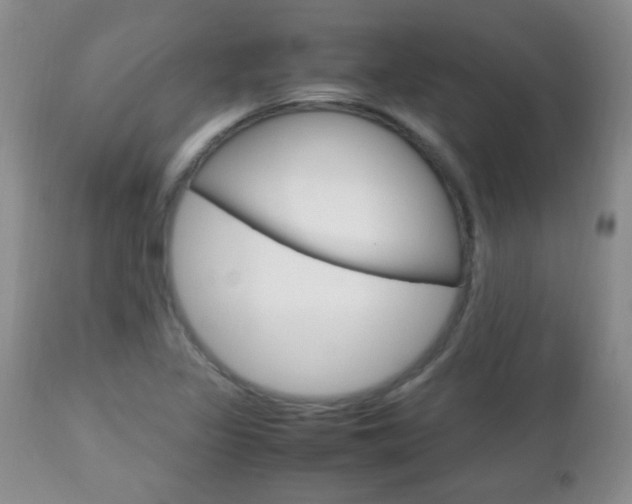 X0000112791317200908210929