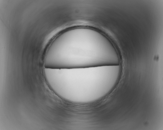 X0000112791318200908210929