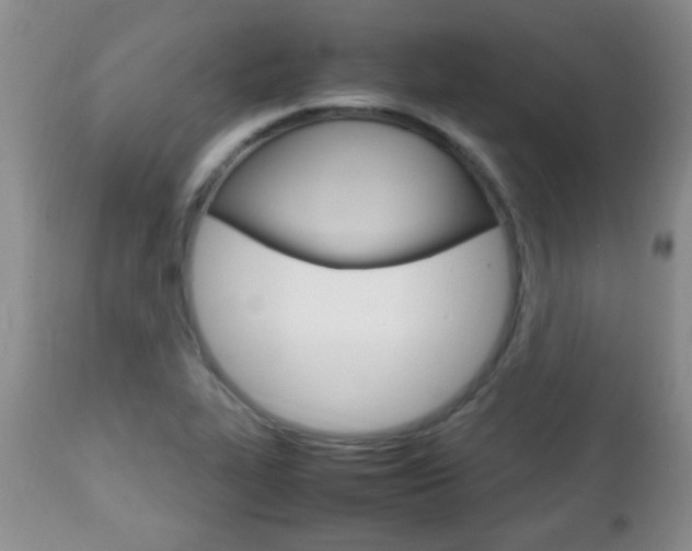 X0000112791319200908210929