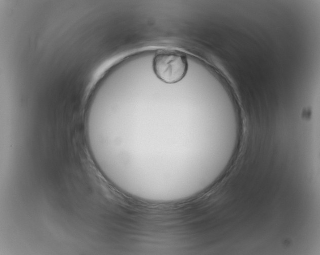 X0000112791320200908210929