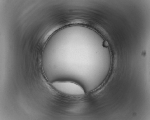 X0000112791321200908210929