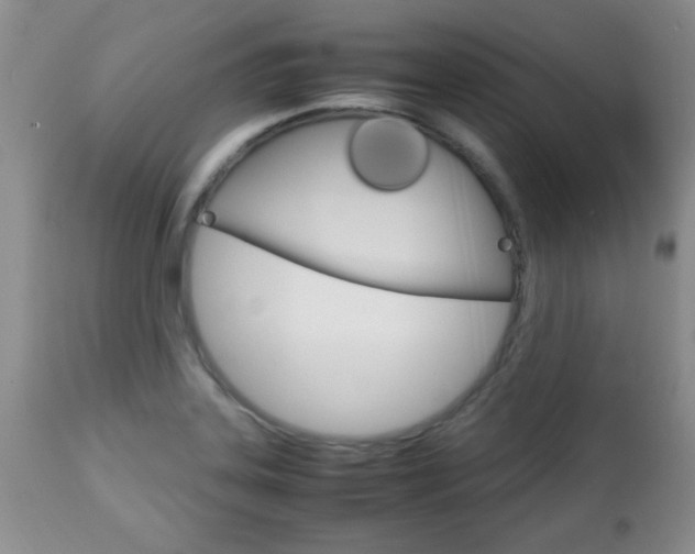 X0000112791323200908210929