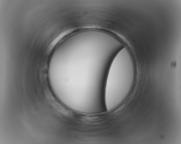 X0000112791325200908210929
