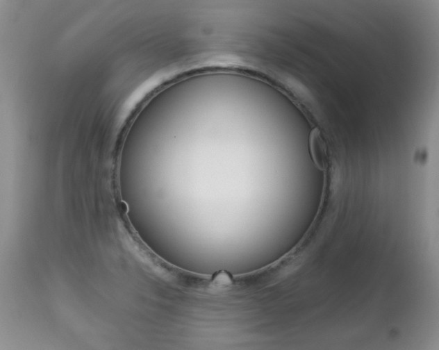 X0000112791326200908210929