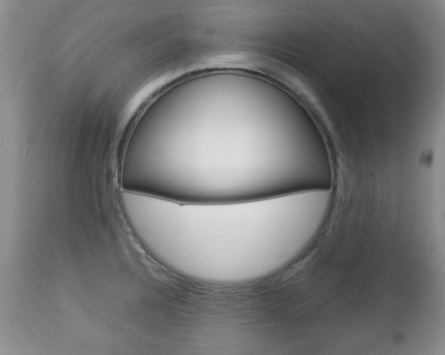 X0000112791328200908210929