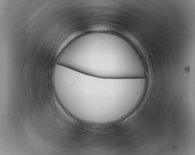 X0000112791329200908210929