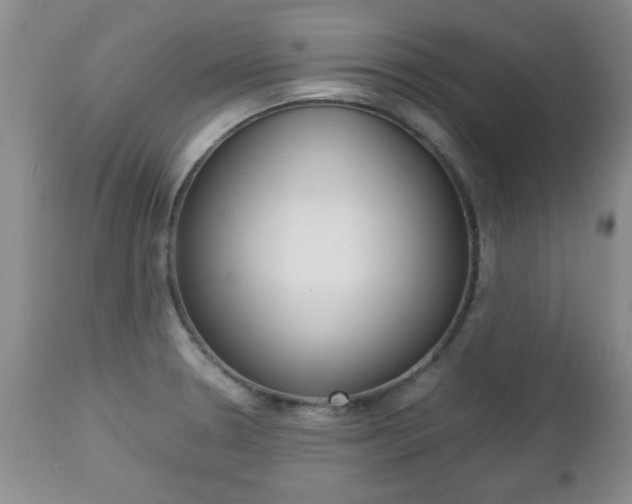 X0000112791330200908210929