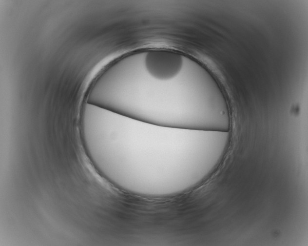 X0000112791331200908210929