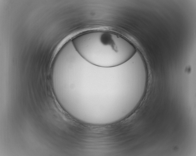 X0000112791332200908210929