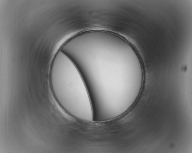 X0000112791333200908210929