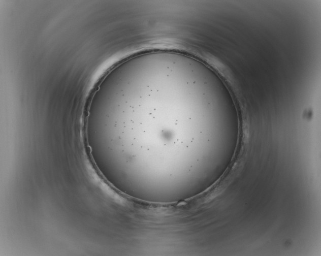 X0000112791334200908210929