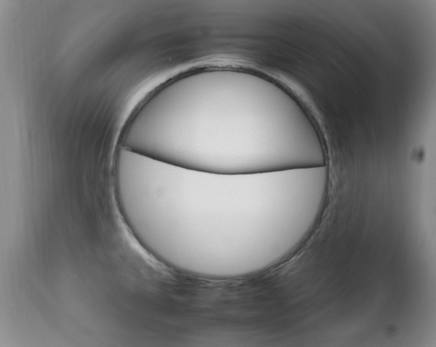 X0000112791335200908210929