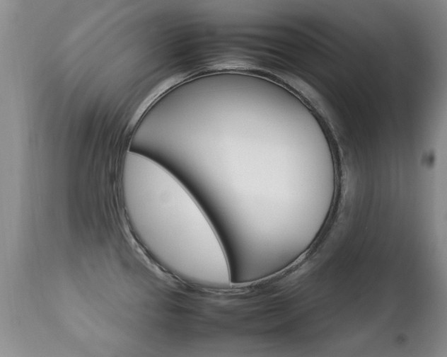 X0000112791337200908210929