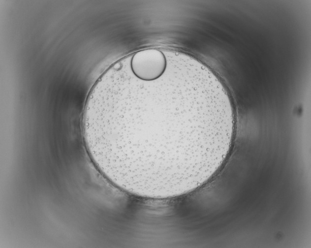X0000112791338200908210929