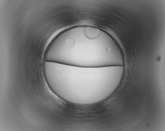 X0000112791339200908210929