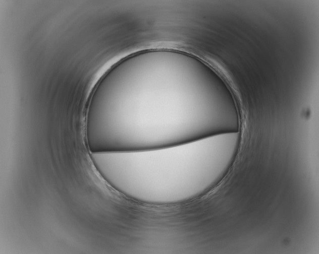 X0000112791340200908210929