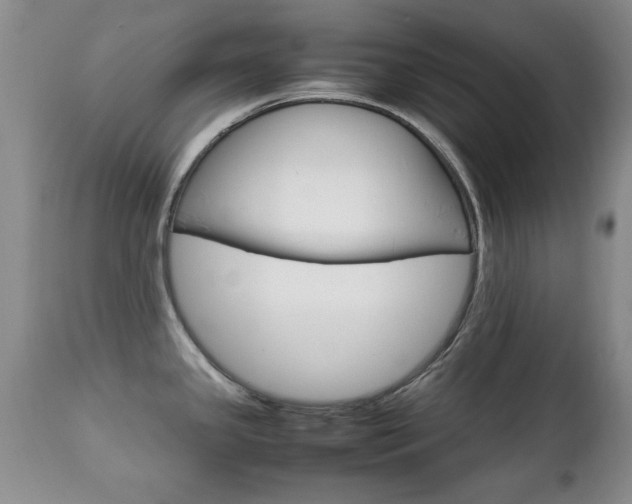 X0000112791341200908210929