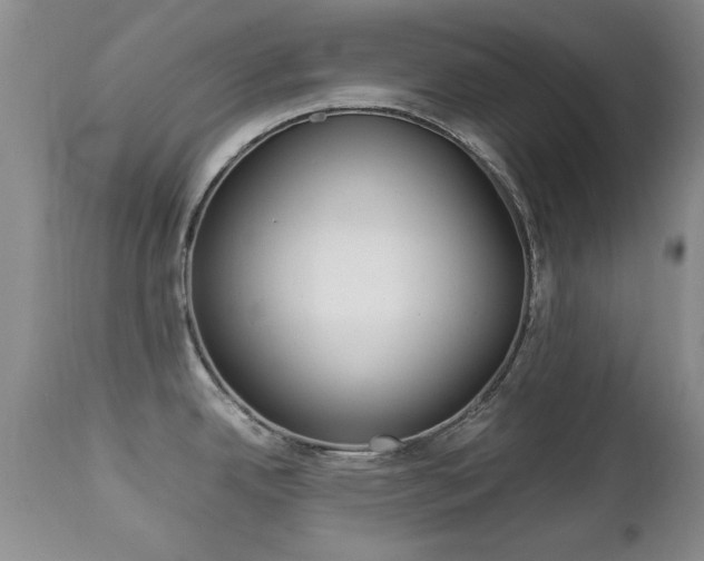 X0000112791342200908210929
