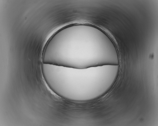 X0000112791343200908210929