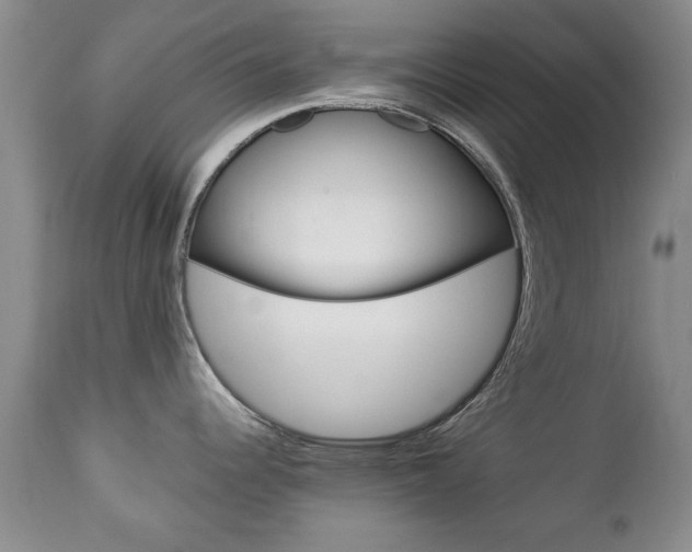 X0000112791344200908210929