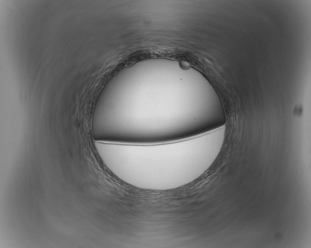 X0000112791345200908210928
