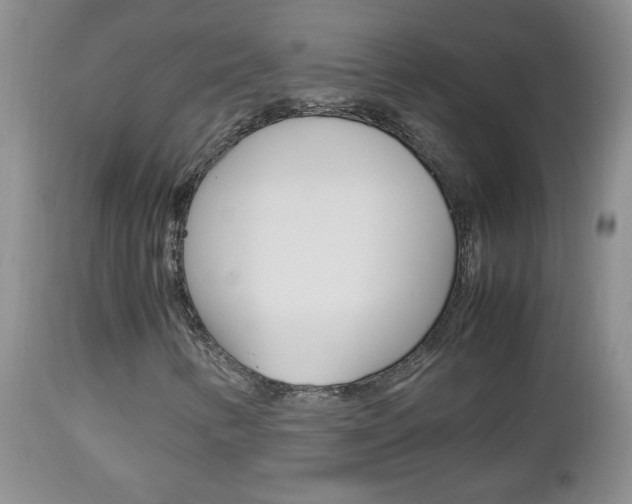 X0000112791346200908210928
